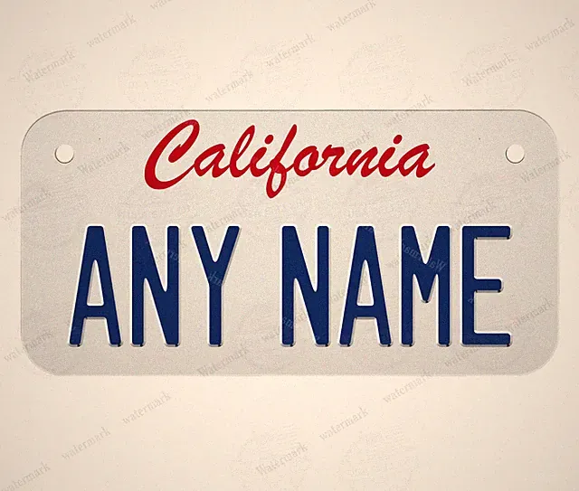 Custom Any Sate Mini Bicycle Personalized Outdoor Metal License Plate For Kids