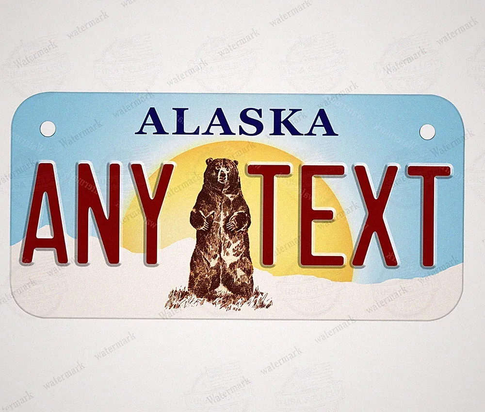 Custom Any State Kids Bicycle Personalized Metal License Plate with Name/Text