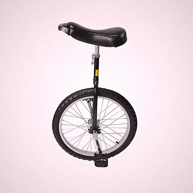 Nisorpa 20" Inch Unicycle Classic Black One Wheel Bike with Anti-Skid Alloy R...