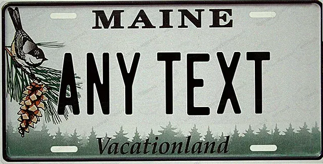 Personalized Custom License Plate Tag for Any State Wall Auto Car Bicycle ATV