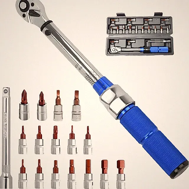 Professional Grade Bike Tool Kit: Torque Wrench with Allen and Torx Sockets