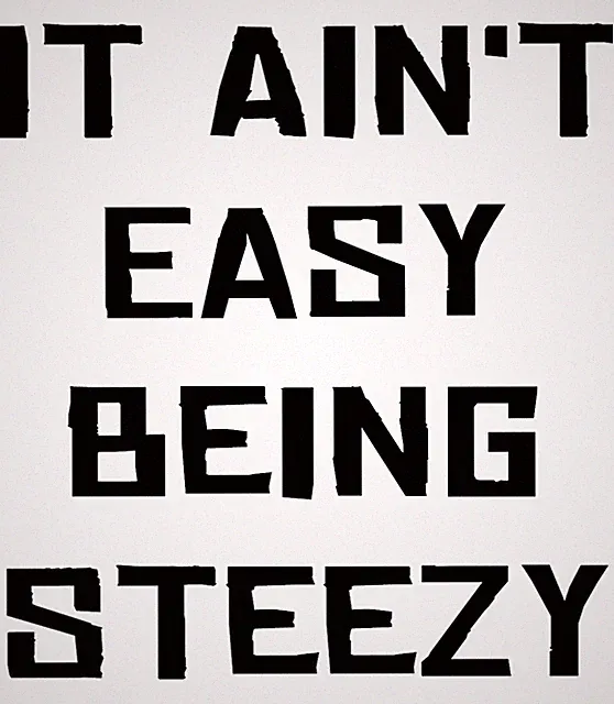 Steezy Mountain Bike Decal Sticker for DH Trail slopestyle freeride