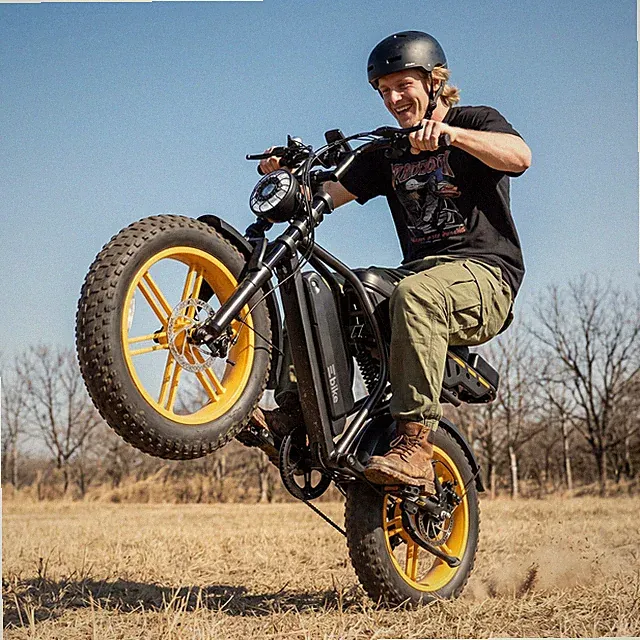 TST R9 Electric Bike for Adults 1500W Peak 20" Fat Tire 15AH 32MPH E-Bike UL2849