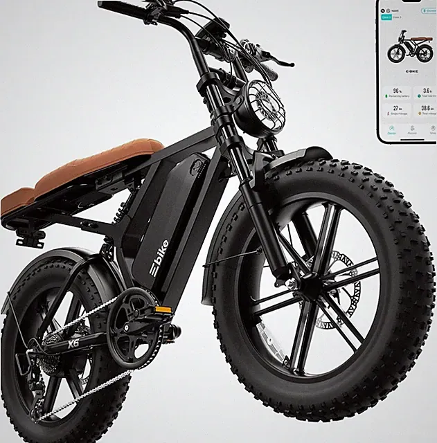 TST X6 Electric Bike Peak1500W 15/30AH E Bike for City ,Off-Roading,Mountain US