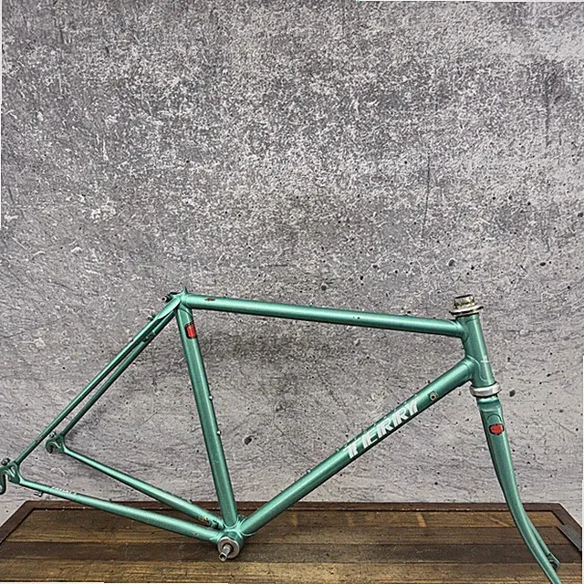 Vintage Terry Road Bike Frame 45cm 24in Front Wheel 700c CRMO Serotta USA Green