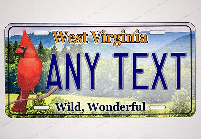 WEST VIRGINIA Personalize Custom License Plate Tag for Wall Car Bicycle ATV Bike